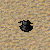 Soubor:Chainmail_gorget_obsidian.png